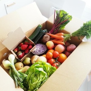 fruits and vegetables